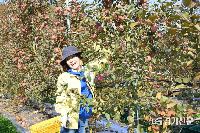 포천시의회 의원 박혜옥 의원 (사진=포천시의회 제공)