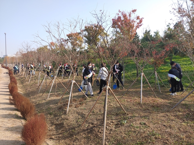 숲가꾸기 체험행사에 참여한 관계자들이 올 식목일에 심은 나무들을 살피고 있다. ( 사진 = 계양구 제공 )