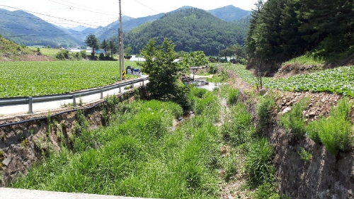  강원도 삼척시 칠골도랑의 도랑살리기 사업 진행 전
