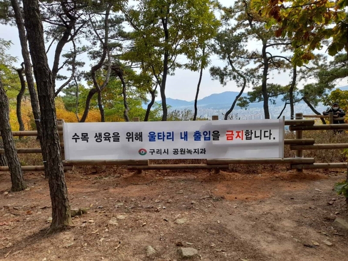 구리시는 지난 10월 27일부터 아차산 등산로 인근 2개소에 철쭉 1,300그루를 심었다.(사진=구리시 제공)