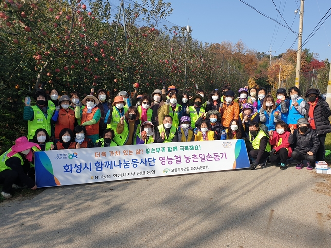 일손이 부족한 사과농가를 찾아 사과따기에 동참한 농협 화성시지부 및 고향주부모임 임원들이 기념촬영을 하고 있다. (사진=농협 화성시지부 제공)