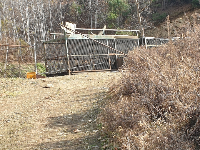 지난 7월에 이어 2번째 곰이 탈출한 용인시 처인구 이동읍 천리 소재 농장 (사진=신경철 기자)