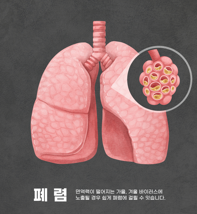 (사진=이미지투데이 제공)