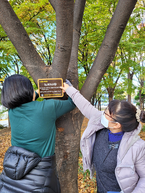 주민들이 나무에 이름표를 달아주고 있다. ( 사진 = 부평구 제공 )