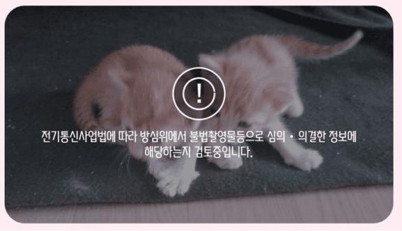 고양이 동영상을 업로드한 직후 나타난 문구. (사진=온라인커뮤니티 뽐뿌 캡처)