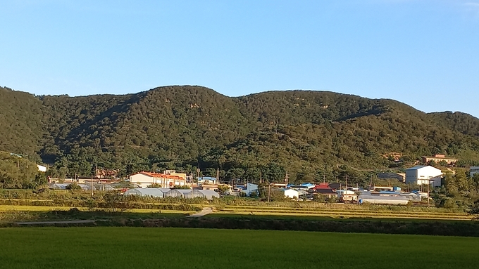 업축산 밑 신화동 전경.