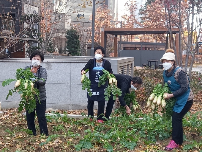 도시농부 아파트텃밭’ 사업 추진 (사진=구리시 제공)