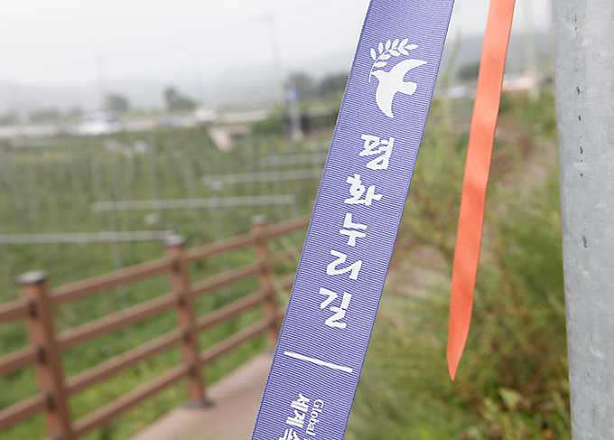 DMZ 평화누리길. (사진=행정안전부 디엠지기 제공)