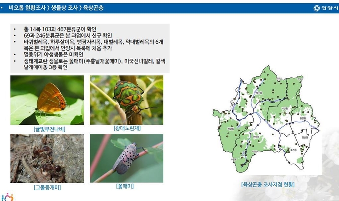 ‘안양에 동식물 생태 2229종 서식하고 있다.(사진= 안양시 제공)