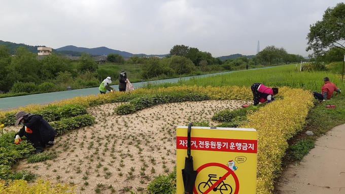 지역공동체 일자리 탄천 습지생태원 관리 분야. (사진=성남시 제공)