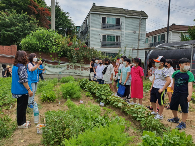 인천시가 도시농업관리사를 대상으로 텃밭 전문 강사 양성에 나선다. ( 사진 = 인천시 제공 )