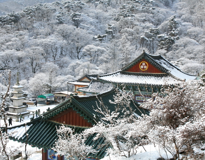 용문사의 겨울.(사진=양평군 제공)<br>
