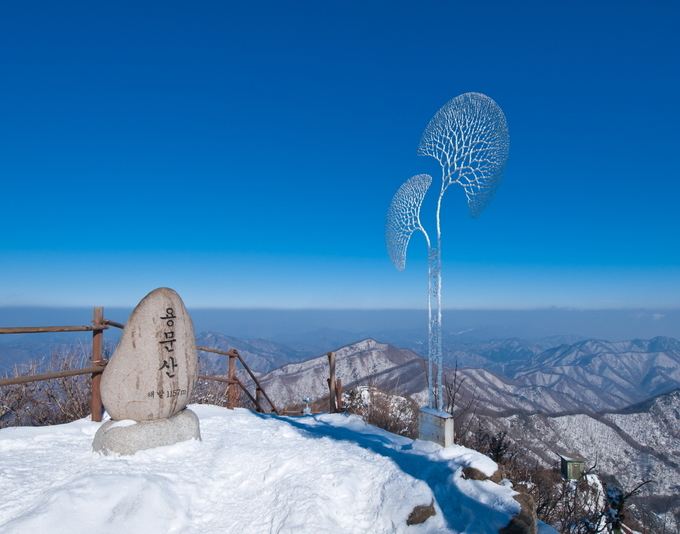 용문산 정상.(사진= 양평군 제공)