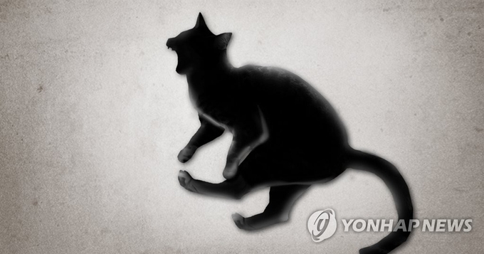 (사진=연합뉴스 제공)