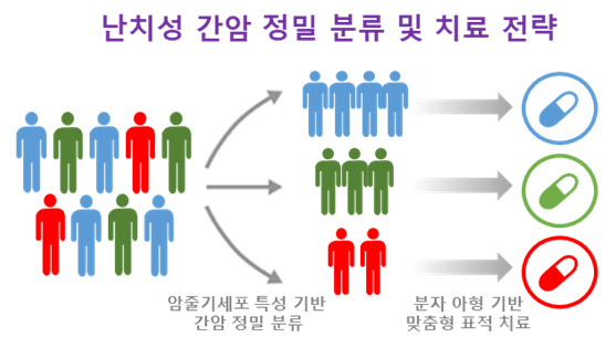 난치성 간암 정밀 분류 및 치료 전략. (표=분당 차병원 제공)