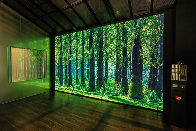 SK텔레콤은 3월 한 달 동안 본사 미디어월에 온실가스 감축을 주제로 한 미디어 아트 ‘동행(A Journey to Green Forest with SK)’을 전시한ㄴ다. (사진=SKT 제공)