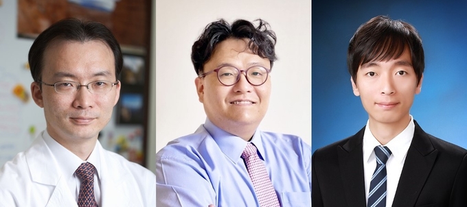 (사진 왼쪽부터)분당서울대병원 산부인과 이정렬 교수), 서울대 융대원 이강원 교수, 양충모 박사. (사진=분당서울대병원 제공)