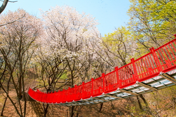 양평 쉬자파크 출렁다리. (사진=양평군 제공)