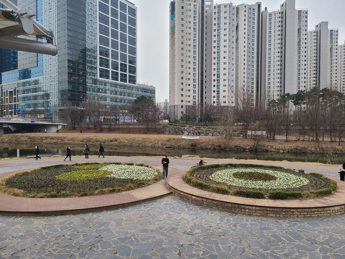 안양시는 하천변에 봄 꽃 1만 2000본 식재했다.(사진=안양시 제공)