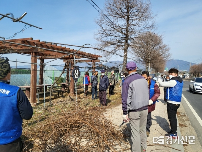 가산면 주민자치위원회 위원들이 포도나무 가지치기를 하고 있다. (사진=포천시 제공)