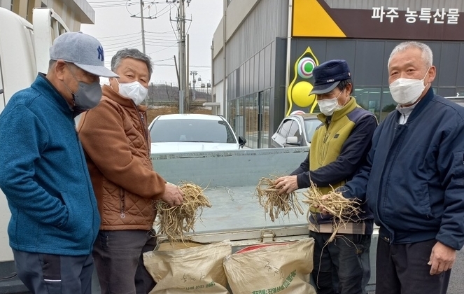 파주시 장단면 평화농장에서 평화농장생산 약용작물 종묘를 들어보이고 있는 농민들(사진=파주시 제공)