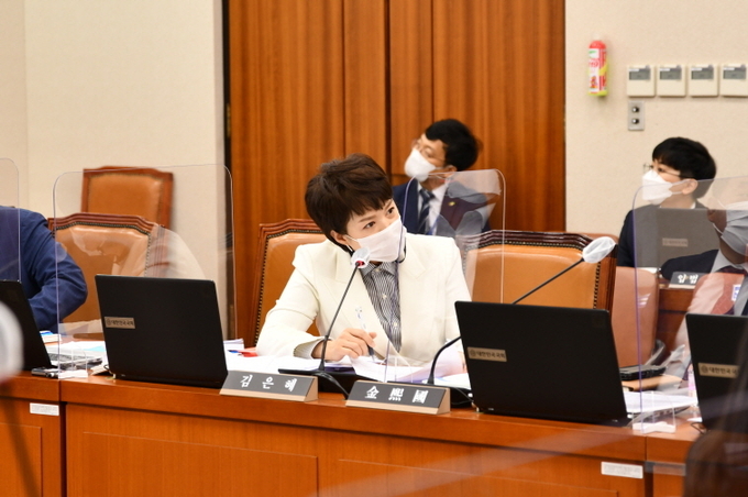 김은혜 의원. (사진=김은혜 의원실 제공)