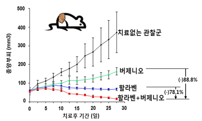 입랜스 내성 동물모델에서 할라벤과 버제니오 병용 투여 시 단독투여 약물에 비해 현저한 종양억제의 우월성을 확인했다. (자료=분당 차병원 제공)