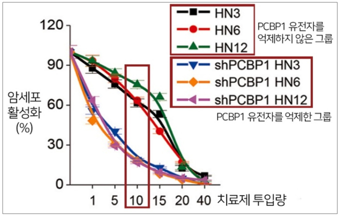 PCBP1유전자를 억제한 그룹이 암세포 활성화가 최대 70%p이상 더 낮았다. (사진=분당 차병원 제공)