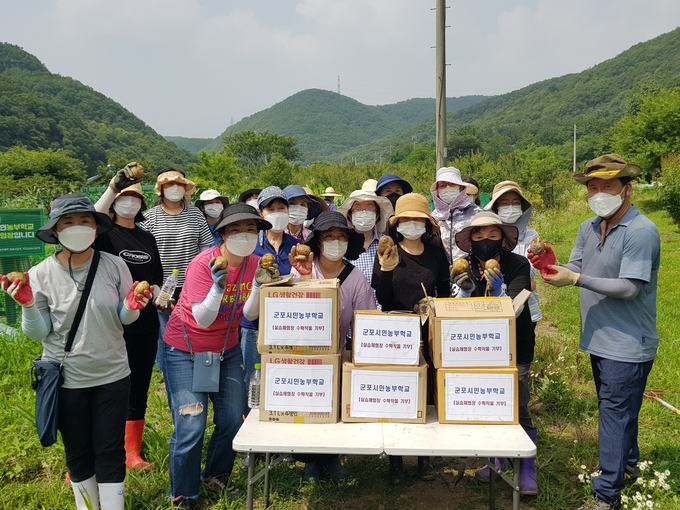 지난해 제1기 군포시민농부학교 수강생들이 수확의 기쁨을 만끽하고 있다.(사진=군포시 제공)<br>
<br>
