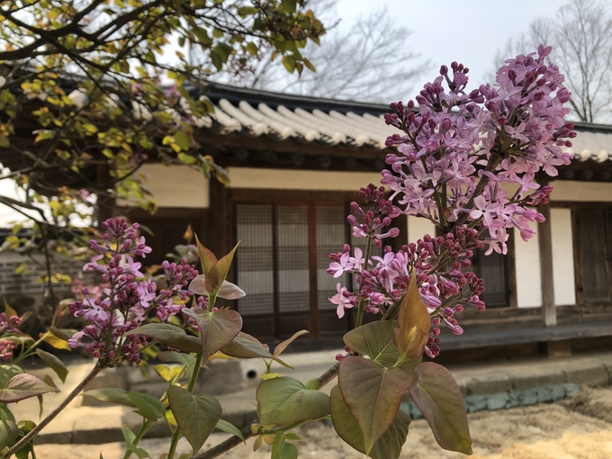화성 융릉과 건릉. (사진=궁능유적본부 제공)