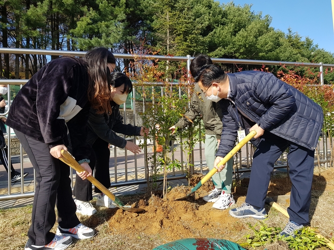 화창초등학교가 꿈을 심는 식목행사 실시하고있다.(사진=화창초 제공)