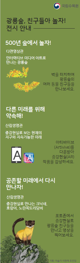 '광릉숲, 친구들아 놀자!' 리플릿 후면. (리플릿=국립수목원 제공)