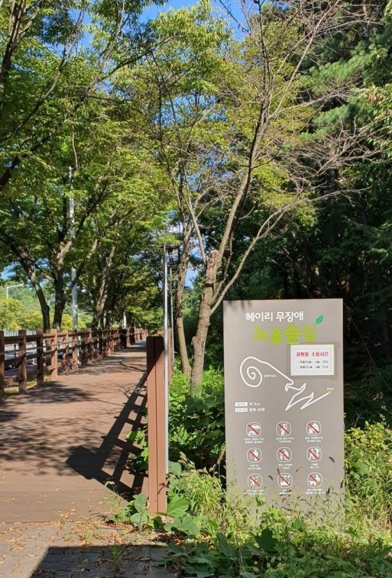 파주시 헤이리 노을숲길(사진=파주시 제공)
