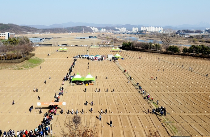 파주시의 주말농장 모습(사진=파주시 제공)