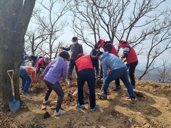 파주시 월롱면민과 LG디스플레이 직원들이 월롱산에 철쭉을 식재하고 있다.(사진=파주시 제공)