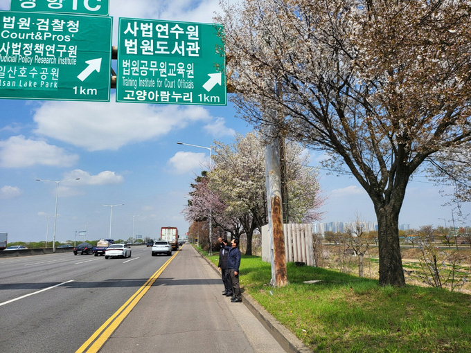 고양시가 12일 2022 고양세계태권도품새선수권대회와 2022 고양국제꽃박람회 화훼산업대전 개최를 앞두고 관내 주요 도로·구조물 및 행사장 주변 도로에 대한 현장 로드체킹을 실시했다.(사진=고양시 제공)
