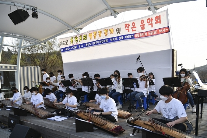 양평군 옥천면 용천 3리에서 지난 9일과 10일 양일간 벚꽃길 걷기 및 작은 음악회가 개최됐다. (사진=양평군 옥천면 행정복지센터 제공)
