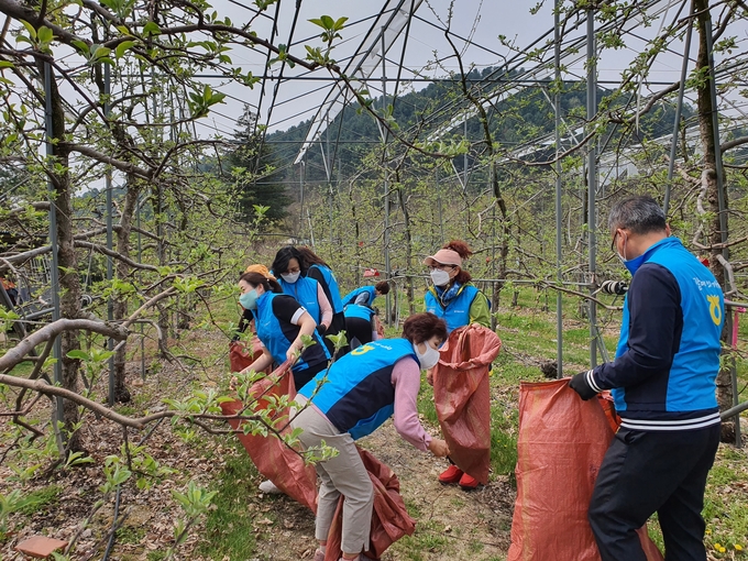 농협가평군지부와 농가주부모임 가평군 연합회는 20일 가평읍 아홉마지기마을 일대를 찾아 깨끗하고 아름다운 농촌환경 조성을 위한 영농폐기물 수거와 마을 환경정화 활동울 펼쳤다. (사진=농협가평군지부 제공)