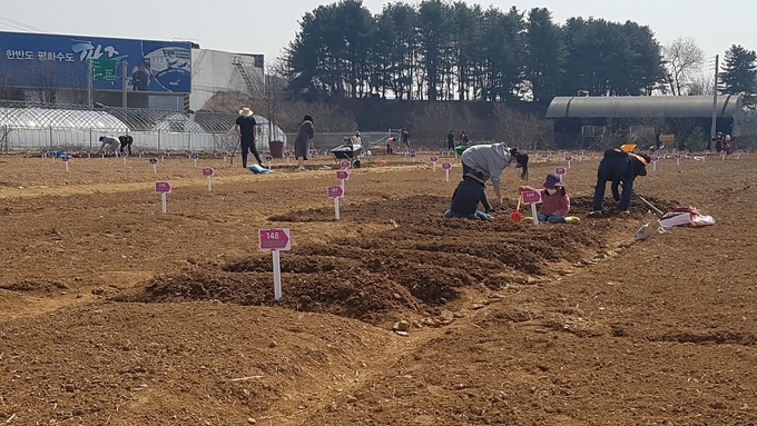 파주시 마정2리 마을주도형 주말농장(사진=파주시 제공)