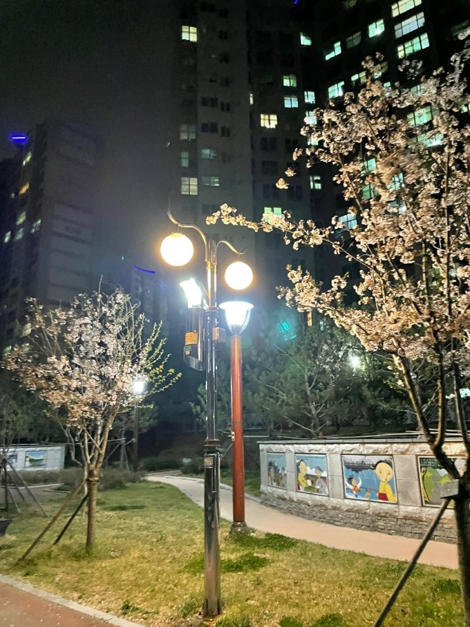 남양주시가 설치한 포충기 모습. 포충기는 LED 램프를 이용, 해충을 유인해 포획·방제하는 저비용, 고효율의 친환경 방제 기구이다.(사진=남양주시 제공)