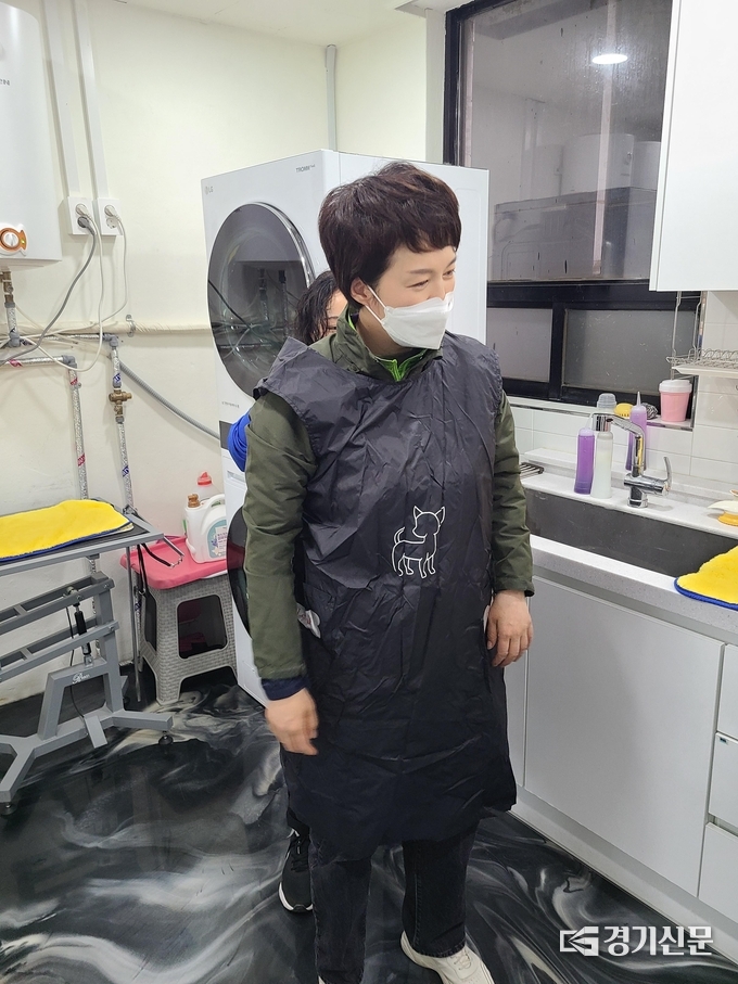김 후보가 유기견 목욕을 위해 앞치마를 두르고 있다. (사진= 김기웅 수습기자)