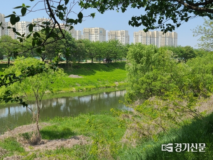 고색교(권선구 오목천동)~솔대교(권선구 고색동) 사이를 흐르는 황구지천 일대. (사진=임석규 수습기자)