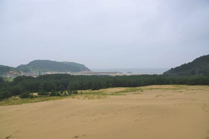 옥죽동 사구와 해안가 전경.