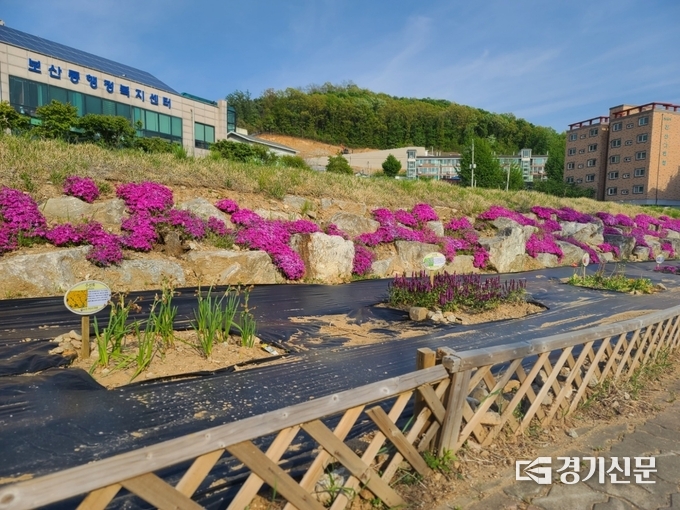 보산동 주민자치위원회는 보산동 행정복지센터 앞 유휴지에 화목한 보산 꽃길과 안내판을 설치했다. (사진=동두천시 제공)