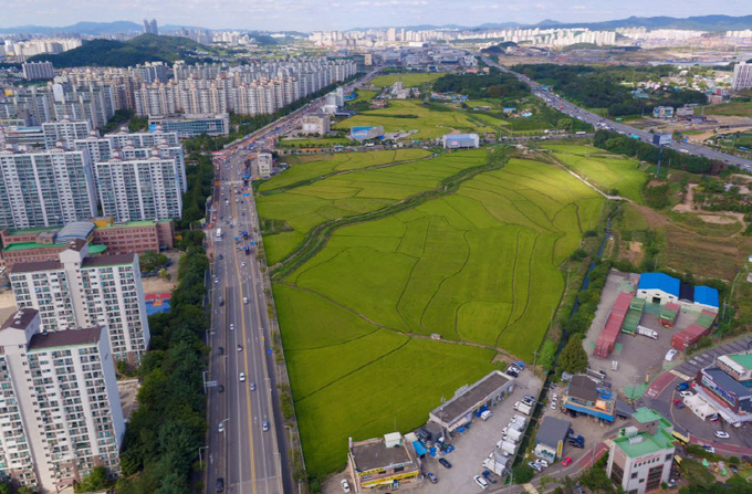 오산 운암뜰 오산동 166번지 일대 60만㎡ 전경.(사진=오산시 제공)