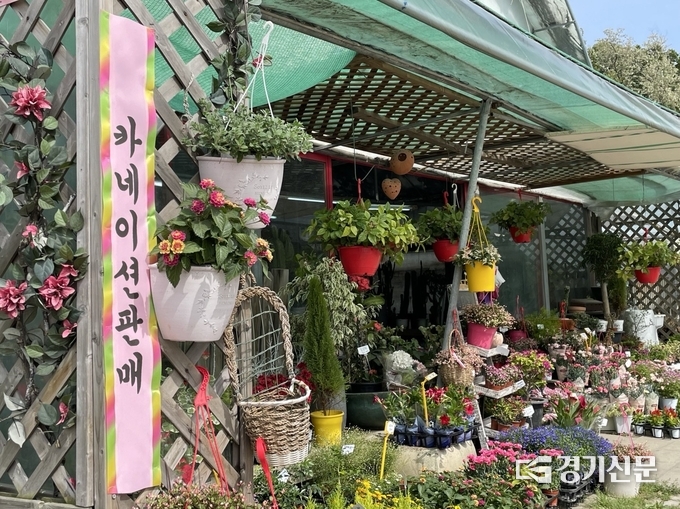 15일 오전 스승의날을 맞아 수원시의 한 꽃가게에서 카네이션을 판매하고 있다. (사진=강현수 기자)