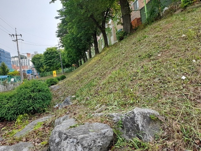 시흥시 장곡동 행정복지센터는 여름철이면 찾아오는 해충을 방제하고, 가로 환경을 저해하는 잡초를 제거하는 제초 작업을 실시했다.(사진=시흥시 제공)