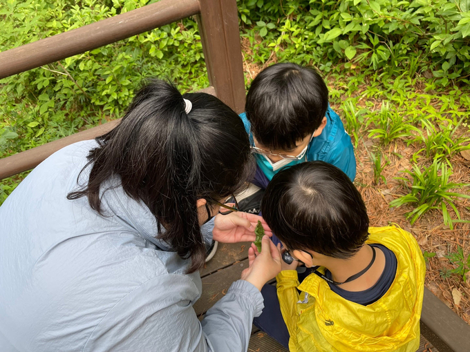 계양구가족센터는 최근 두 차례에 걸쳐 봄의 숲속여행 프로그램을 진행했다. ( 사진 = 계양구 제공 )