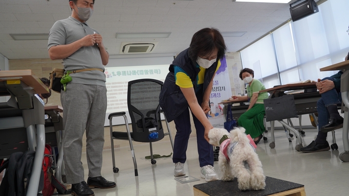 반려동물매개심리상담사 양성과정에 참가한 한 수강생이 반려동물 훈련을 해보고 있다. ( 사진 = 인천시 제공 )