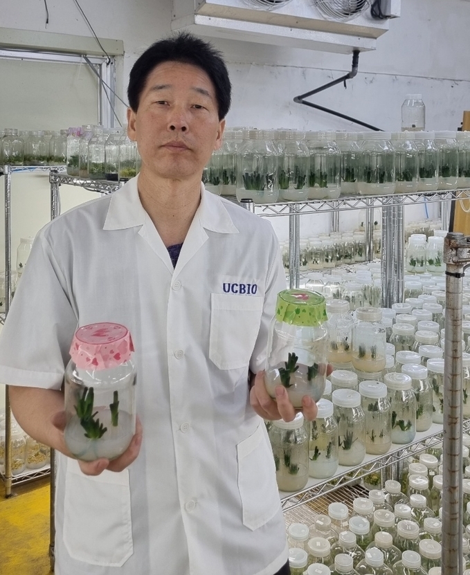 ㈜유씨바이오가 국내 최초로 다육식물을 상품화 했다. (사진=㈜유씨바이오 제공) 